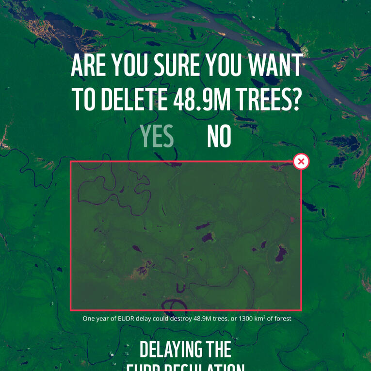 Infographic Name EUDR campaign Client WWF Role Campaign designer